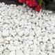 White Pebbles | Polar 20-50mm Stones | Decorative Aggregates